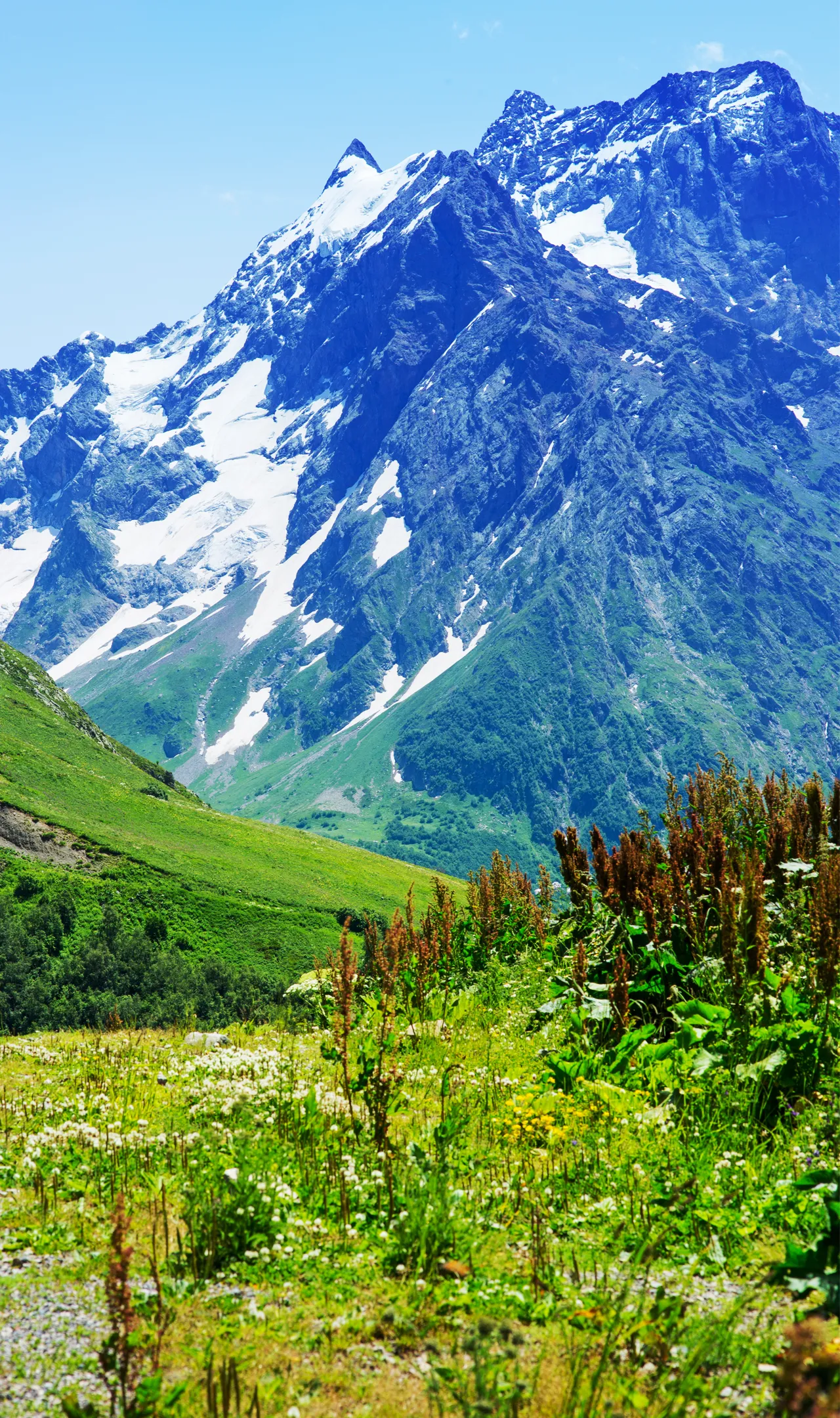 Mont Blanc
