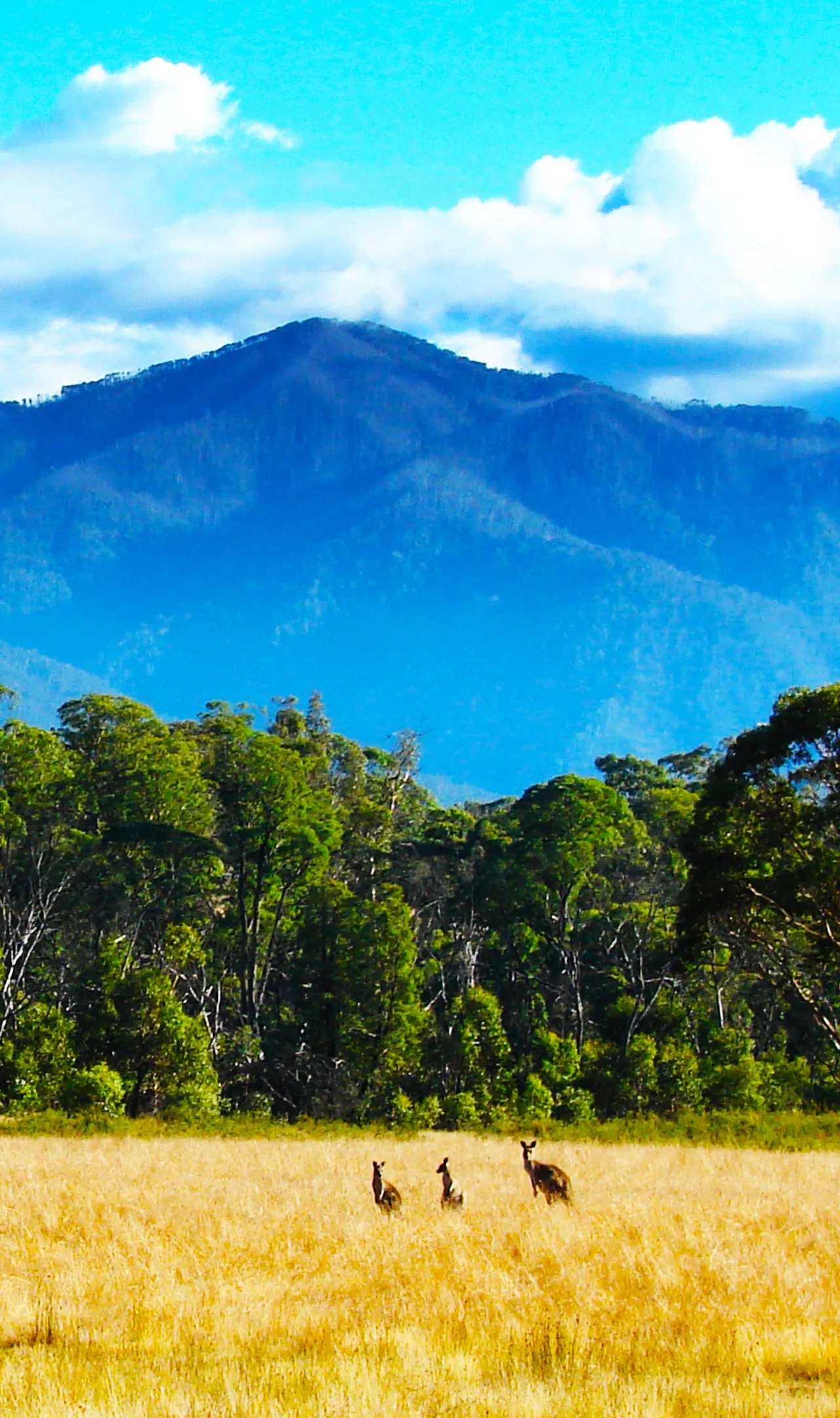 Mount KOSCIUSZKO