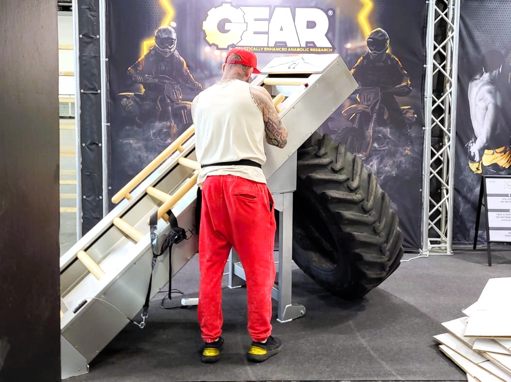 Fibo